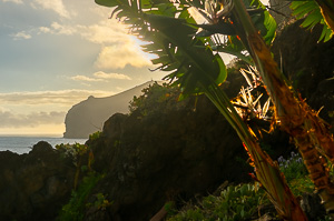 Canico Paradise by Adam Lack