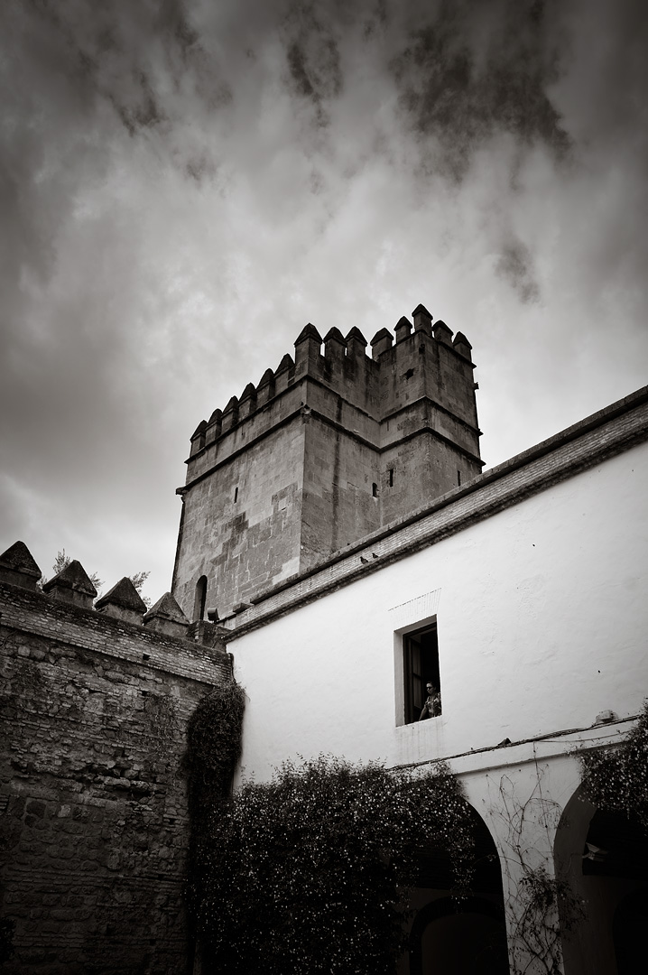 Alcazar de Cordoba by Adam Lack