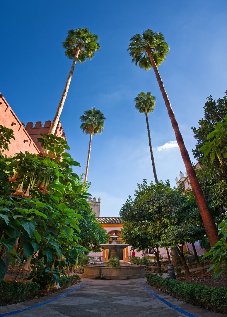 Alcazar de Sevilla Courtyard by Adam Lack