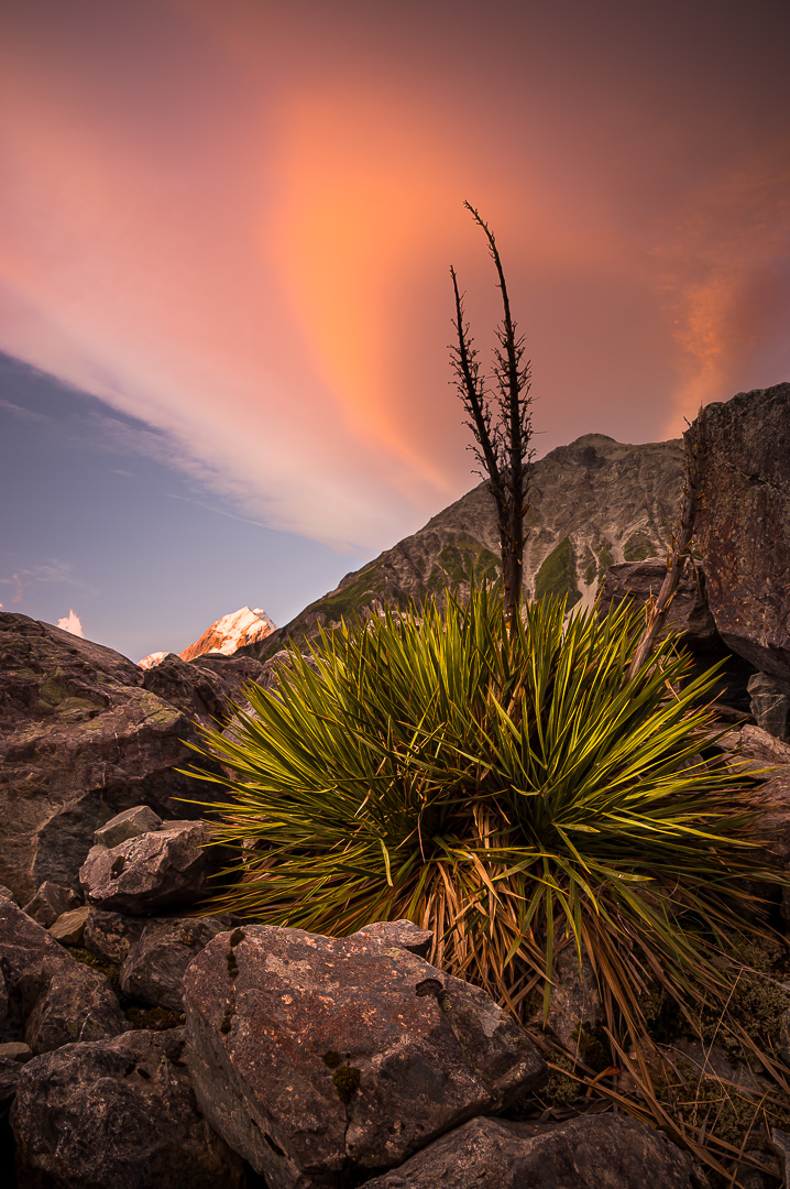 Aoraki Sunset by Adam Lack