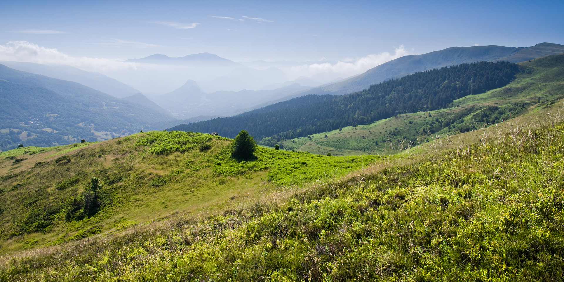 Ariege by Adam Lack