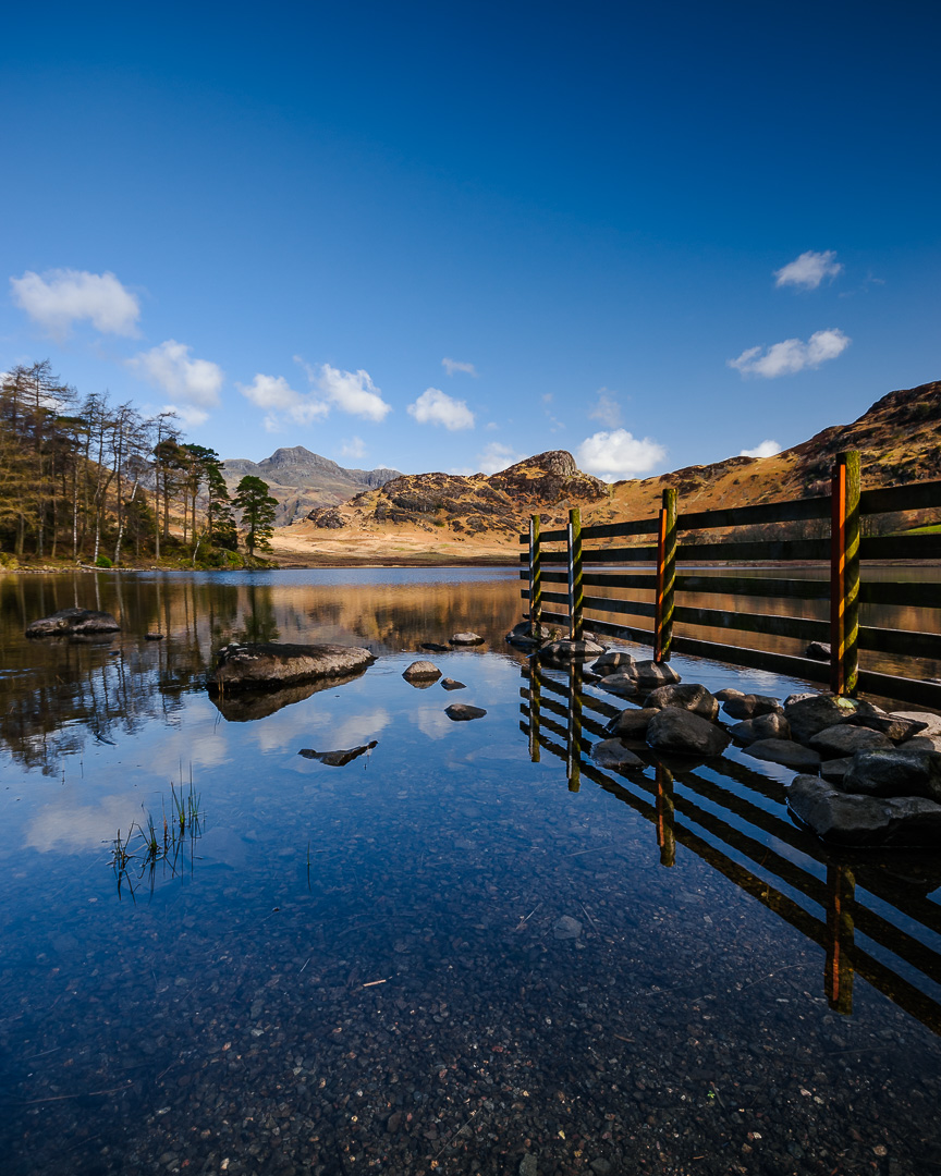 Blea Tarn Fence by Adam Lack