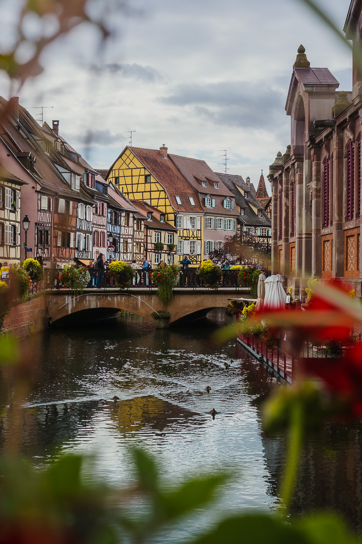 Colmar Colours by Adam Lack