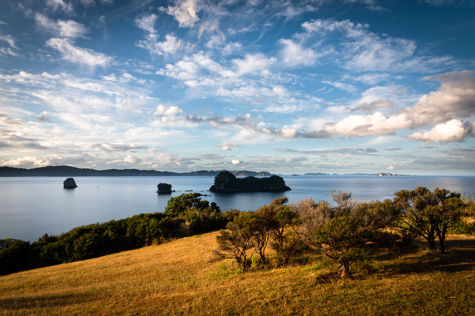 Coromandel Coast by Adam Lack