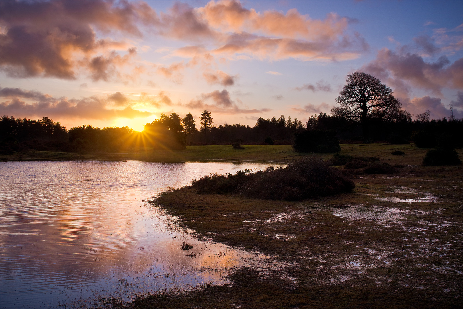 Damp Dawn by Adam Lack