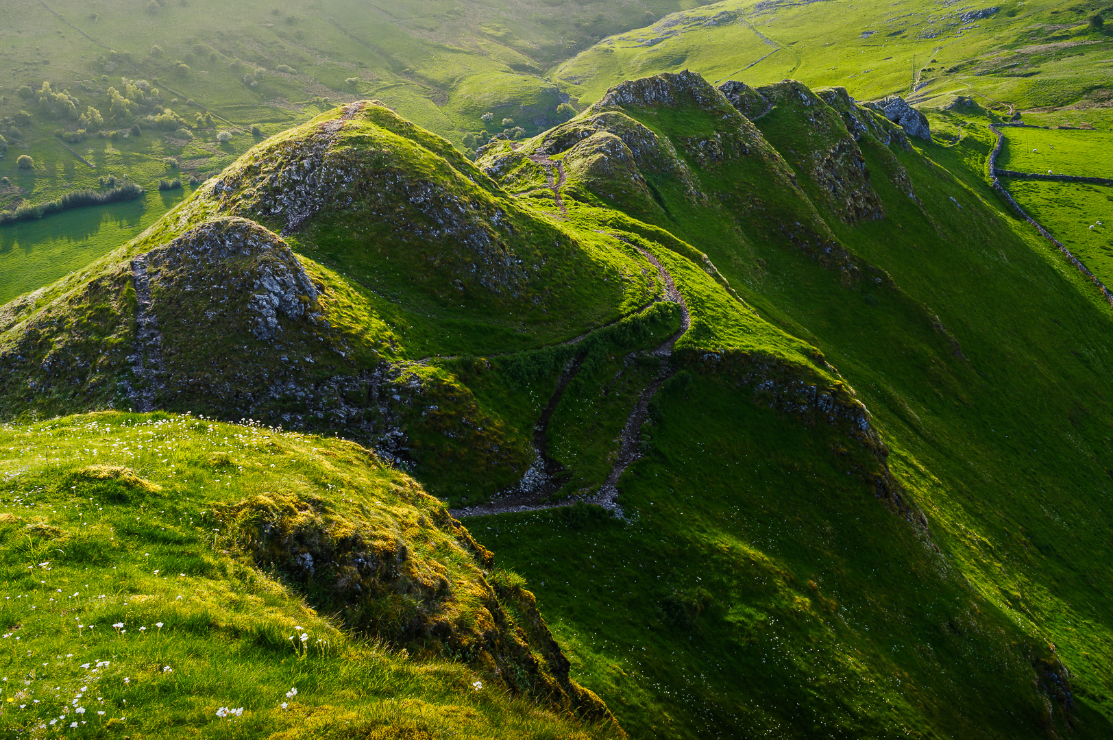 Derbyshire Dragonscales by Adam Lack