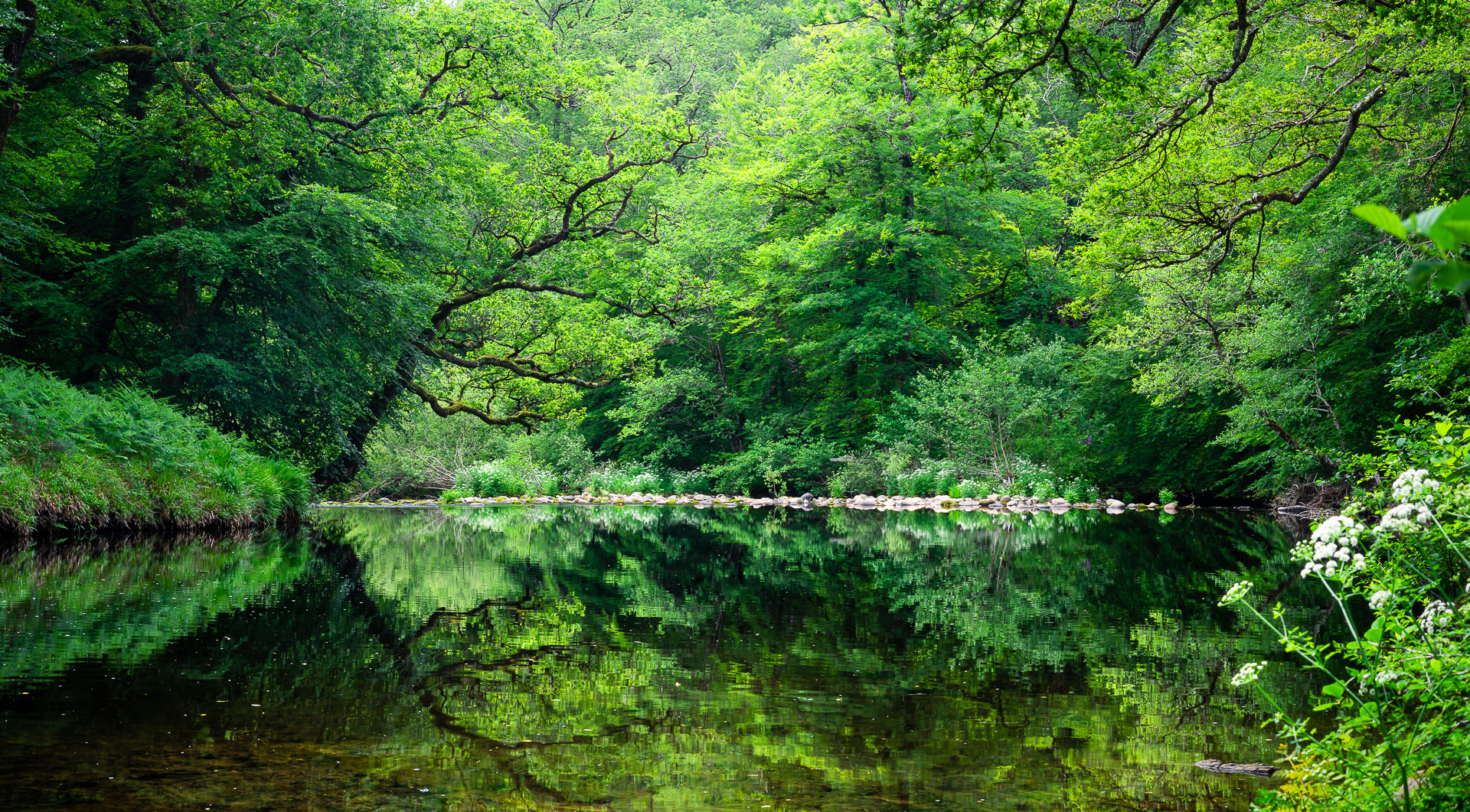 Emerald Reflections by Adam Lack