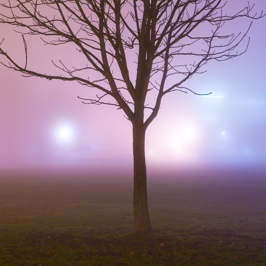 Fogshapes II by Adam Lack