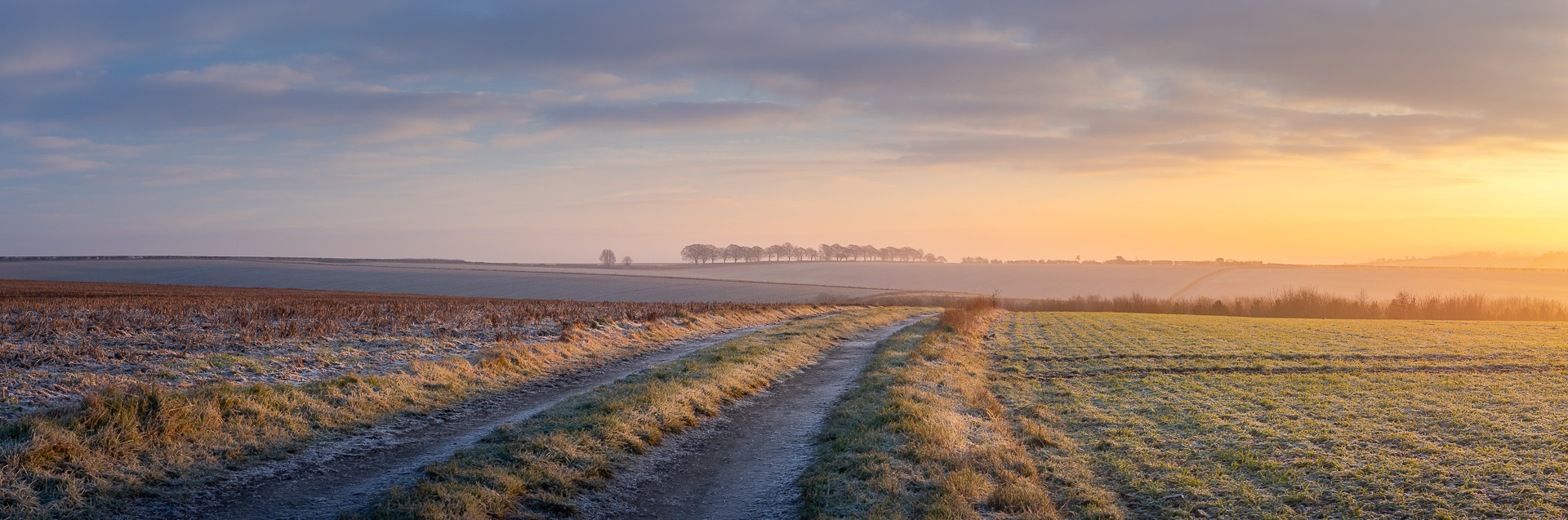 Frosty South Downs Sunrise II by Adam Lack