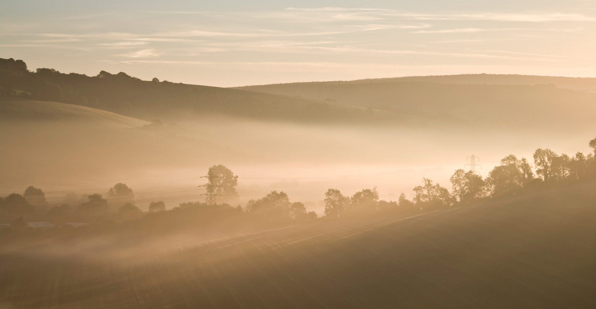 Golden Morning by Adam Lack