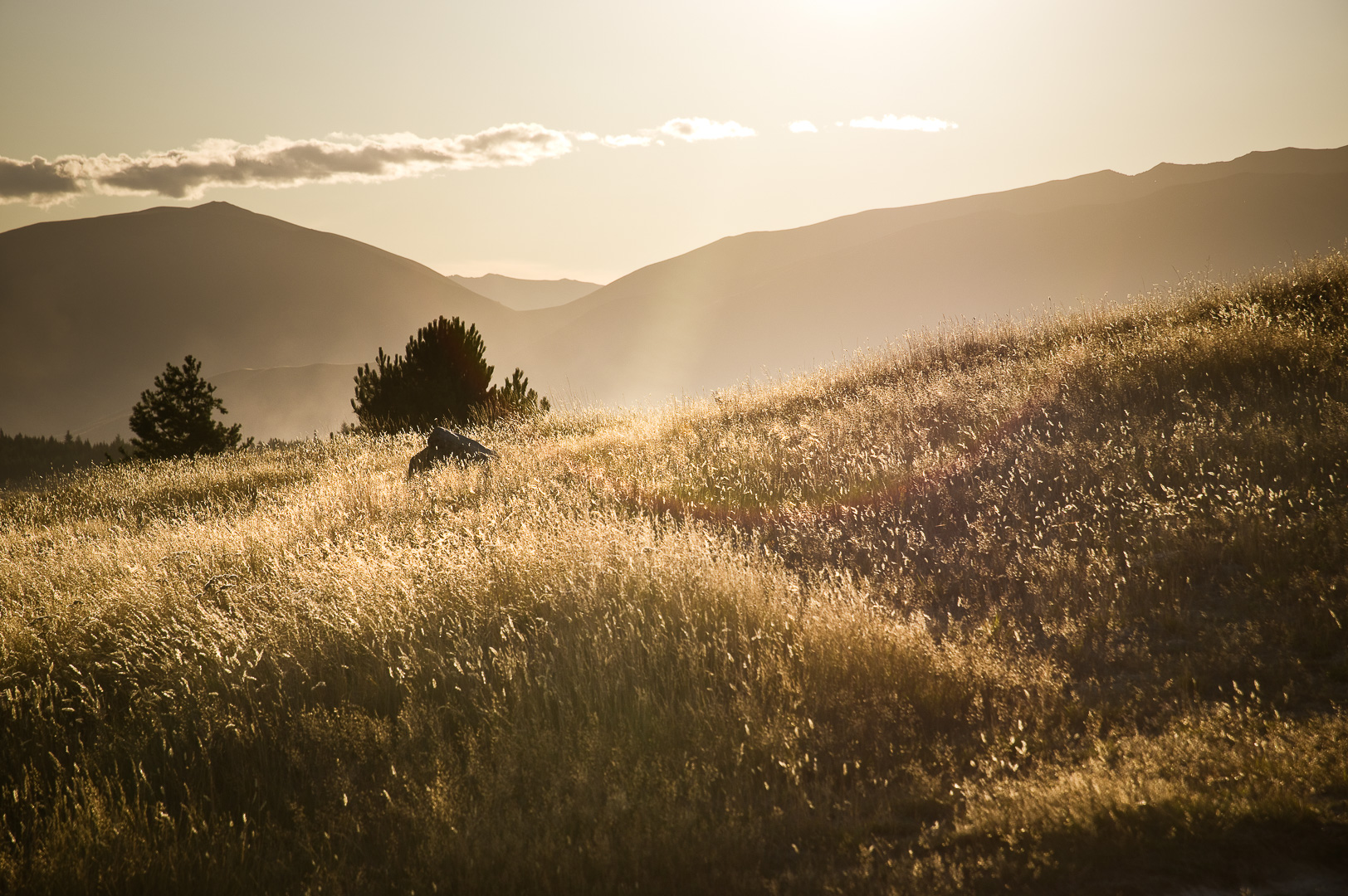 Hazy Evening at Pukaki by Adam Lack