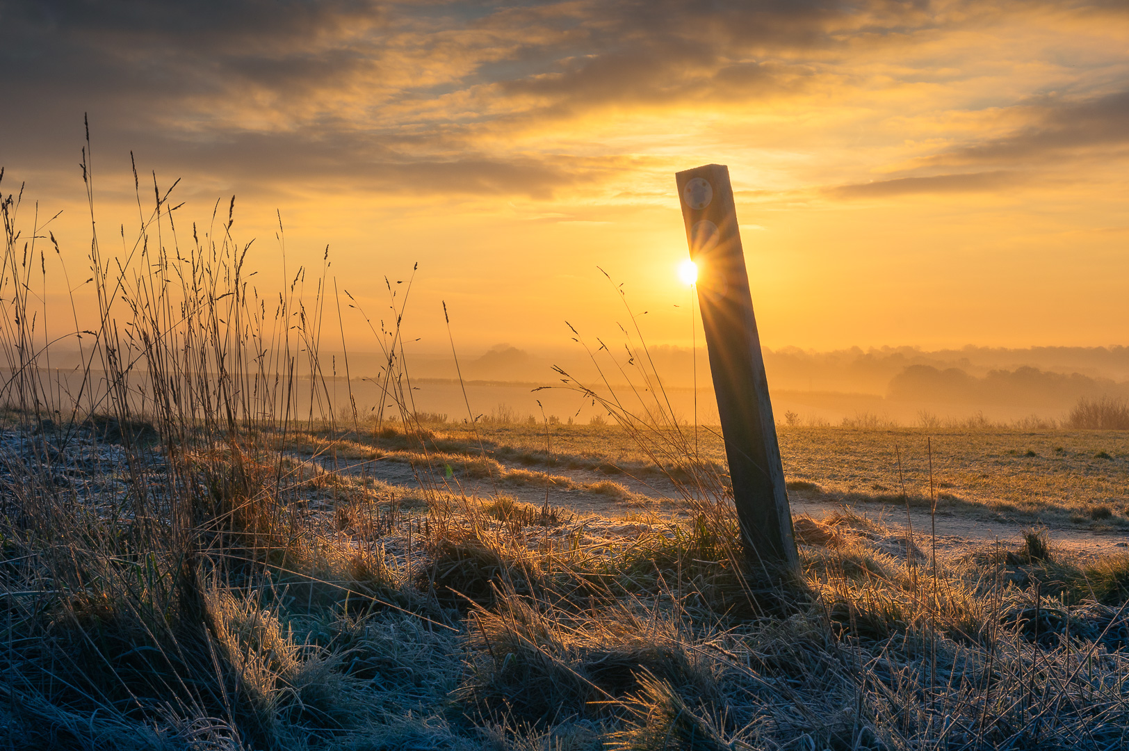 January Sun by Adam Lack
