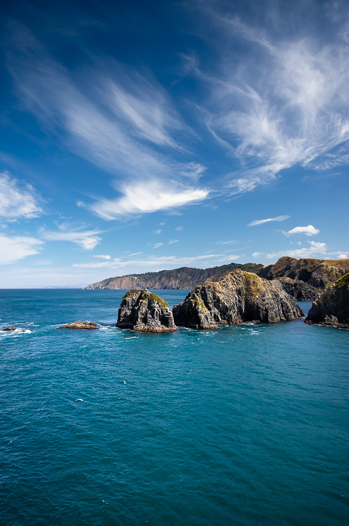 Leaving South Island by Adam Lack
