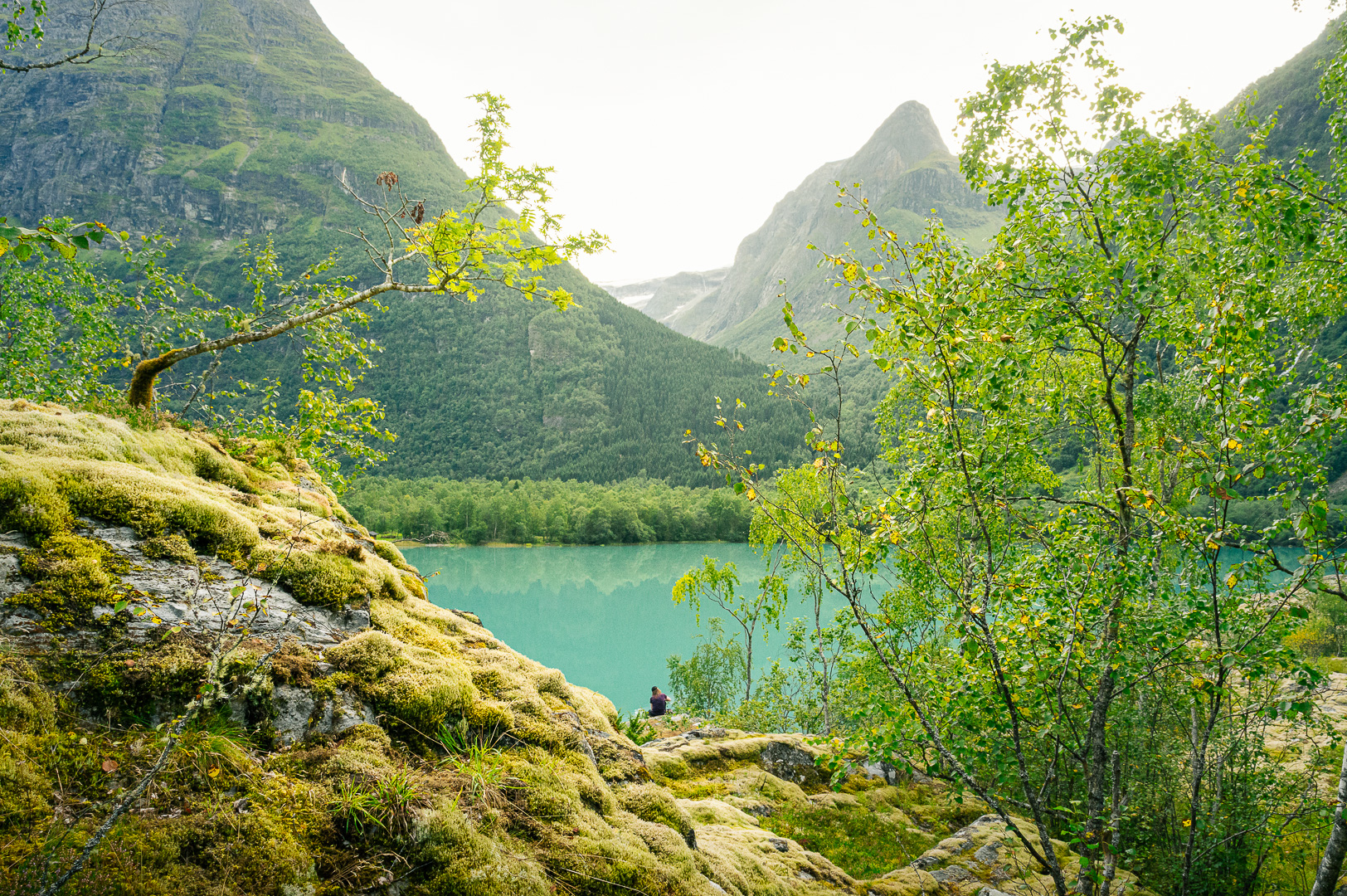 Liten by Adam Lack