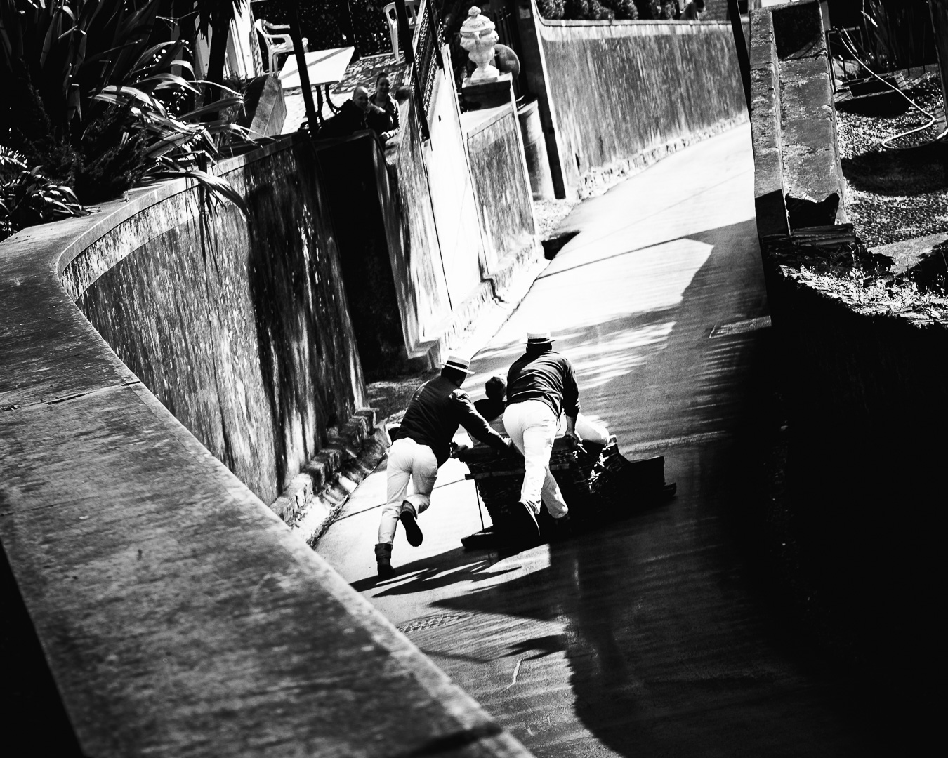 Madeira Madness by Adam Lack