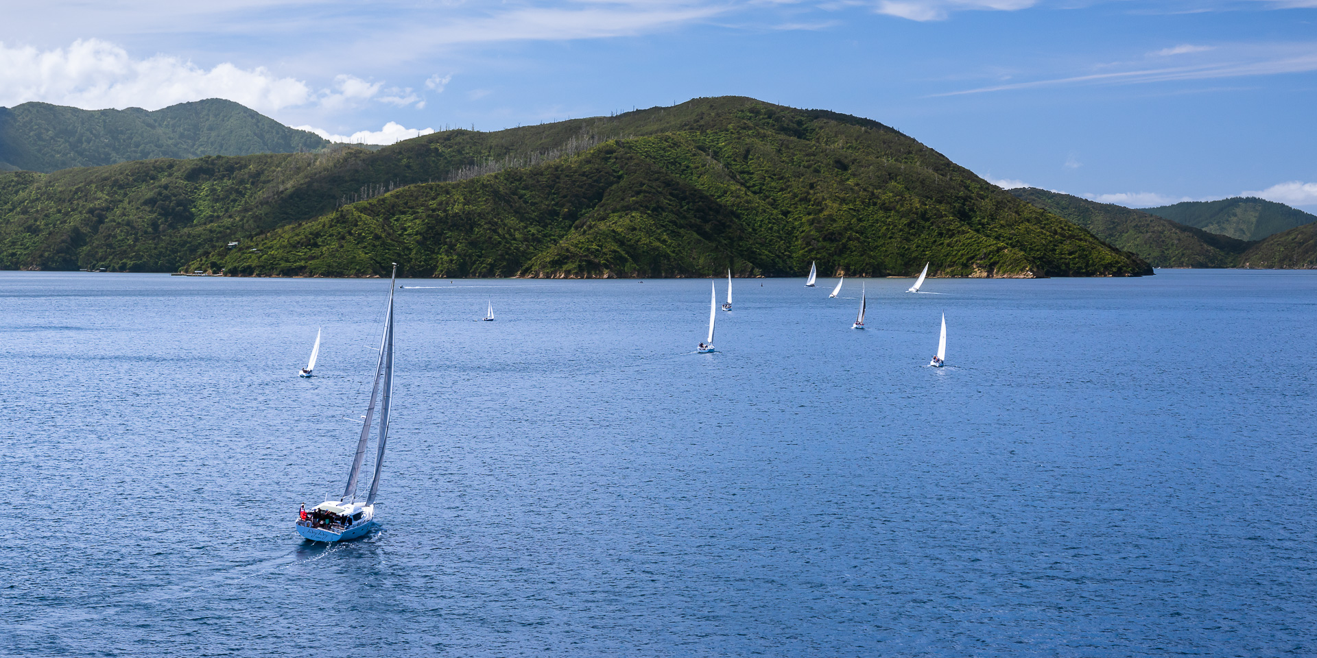 Marlborough Sounds by Adam Lack