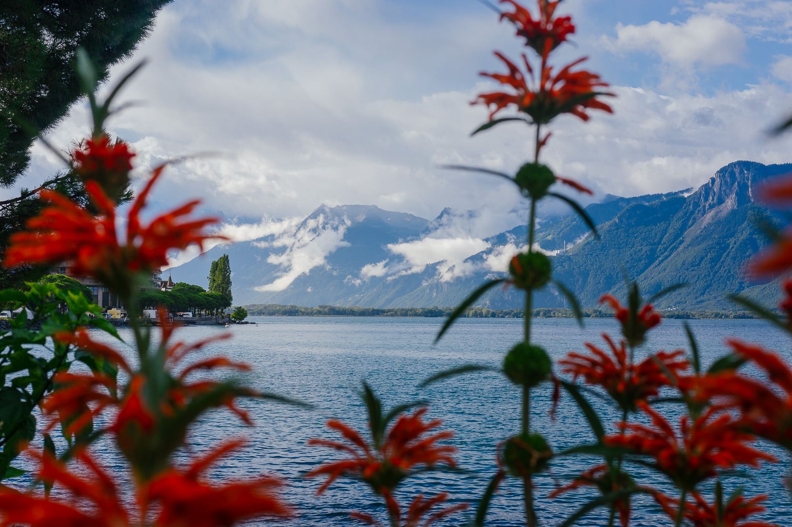Montreux Morning Mountains by Adam Lack