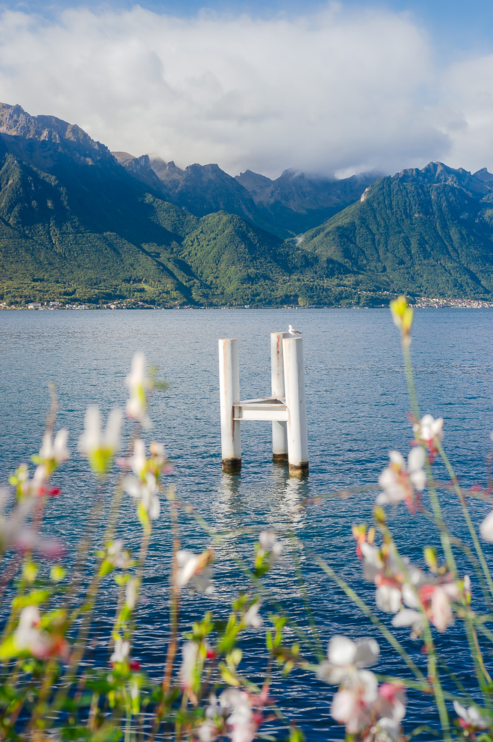 Montreux Sunshine by Adam Lack