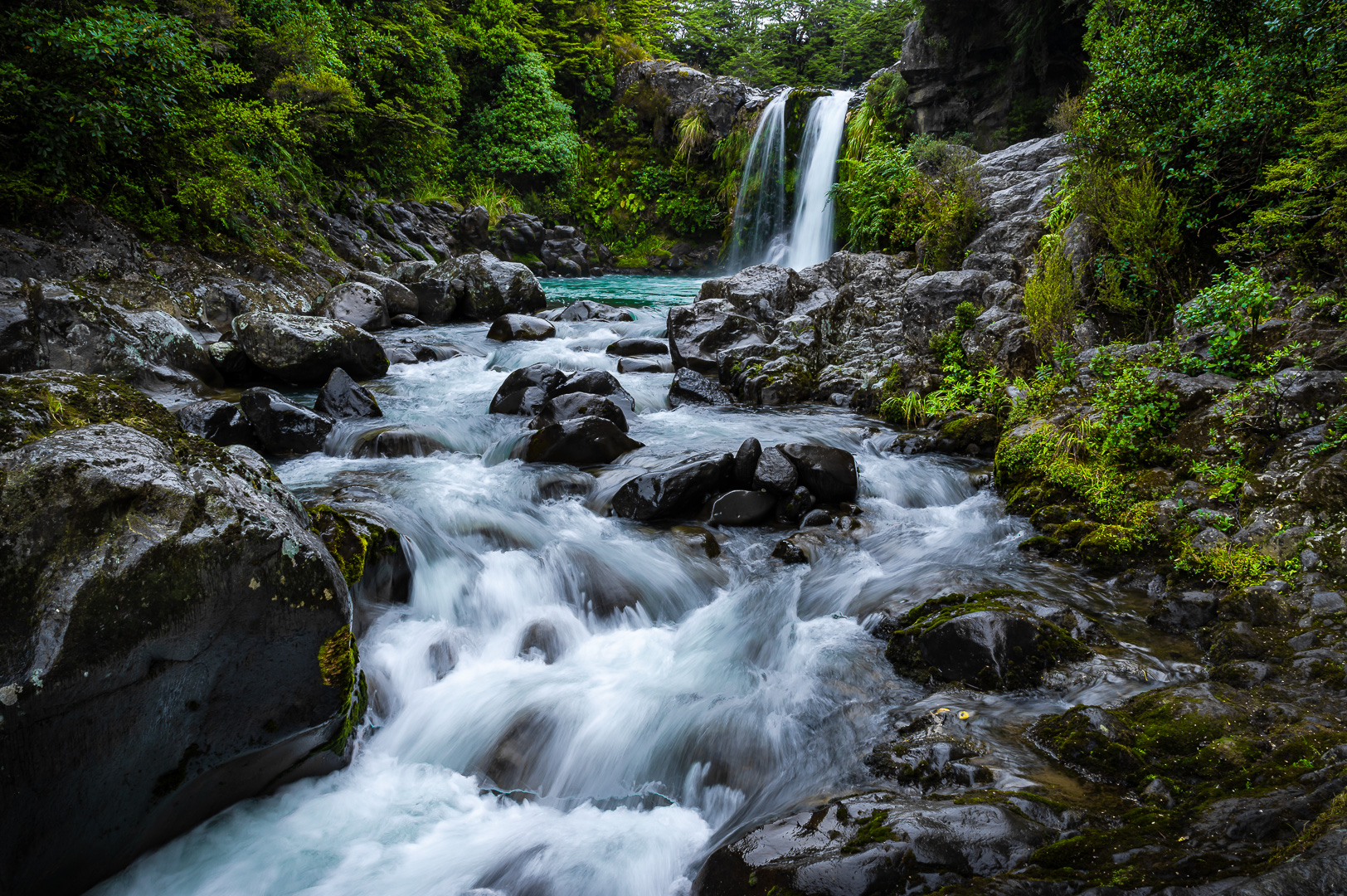 No Sign of Gollum by Adam Lack