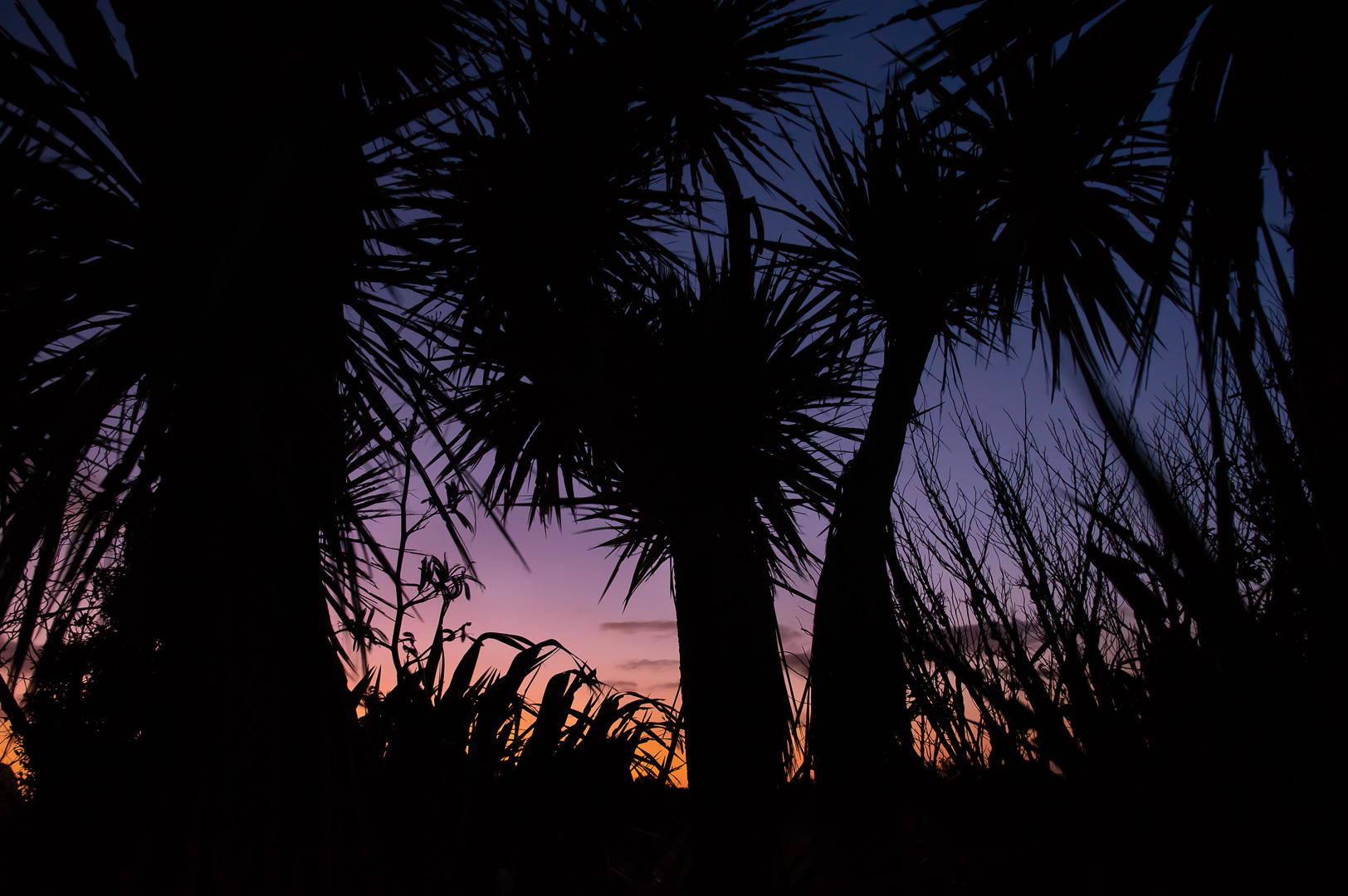 Okarito Twilight by Adam Lack