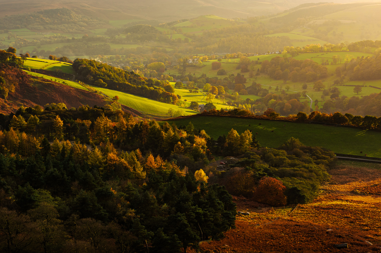 Peak District Gold by Adam Lack