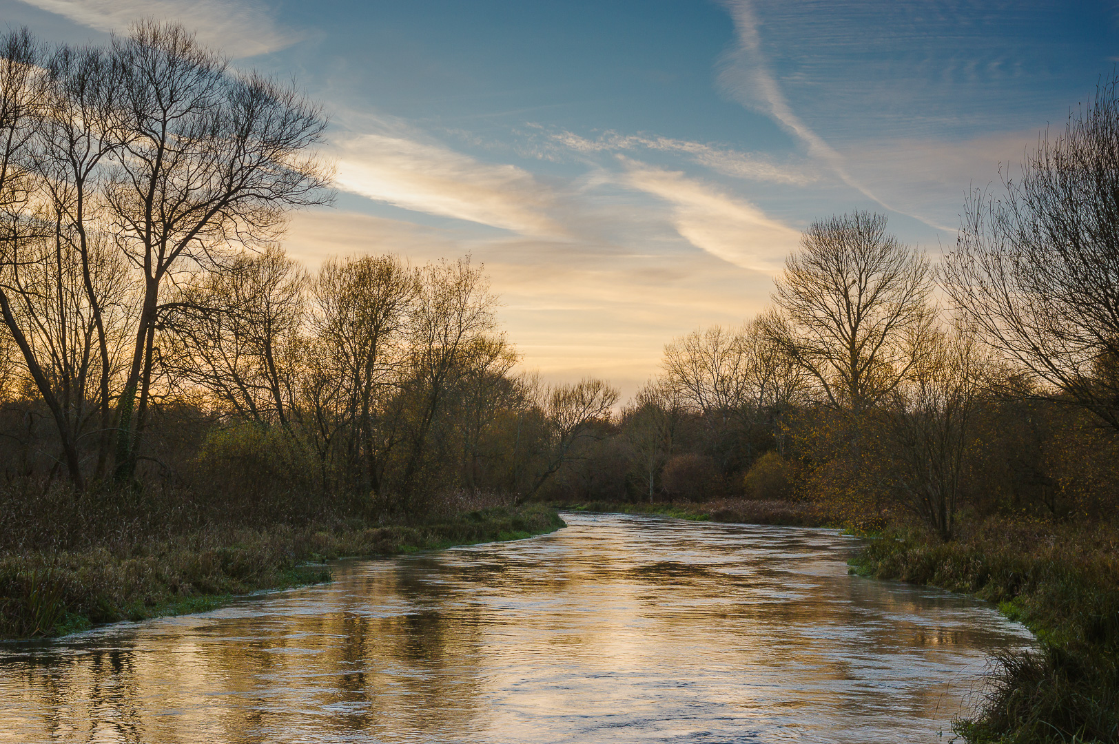 River Itchen in Winter by Adam Lack