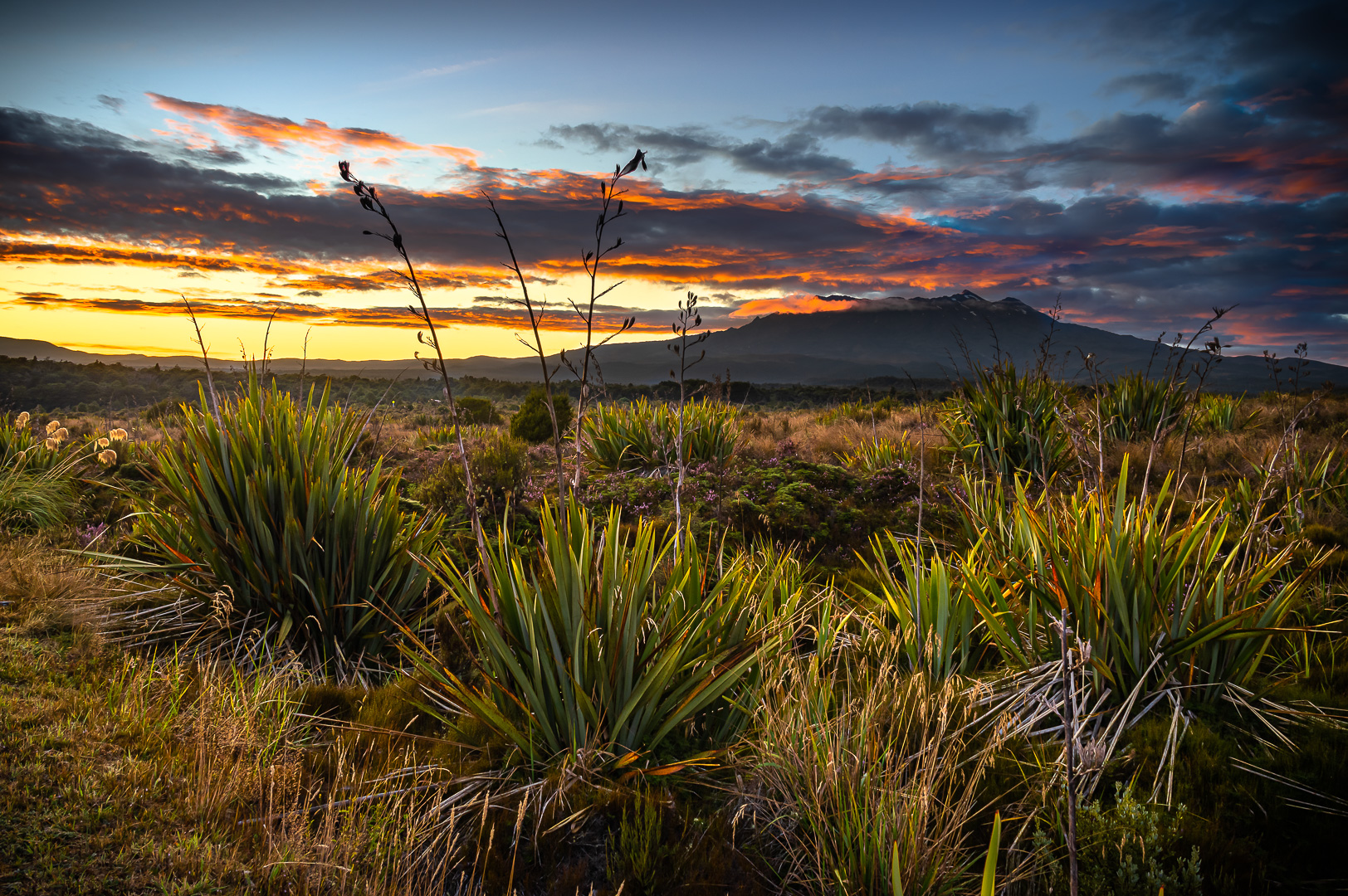 Ruapehu Dawn by Adam Lack