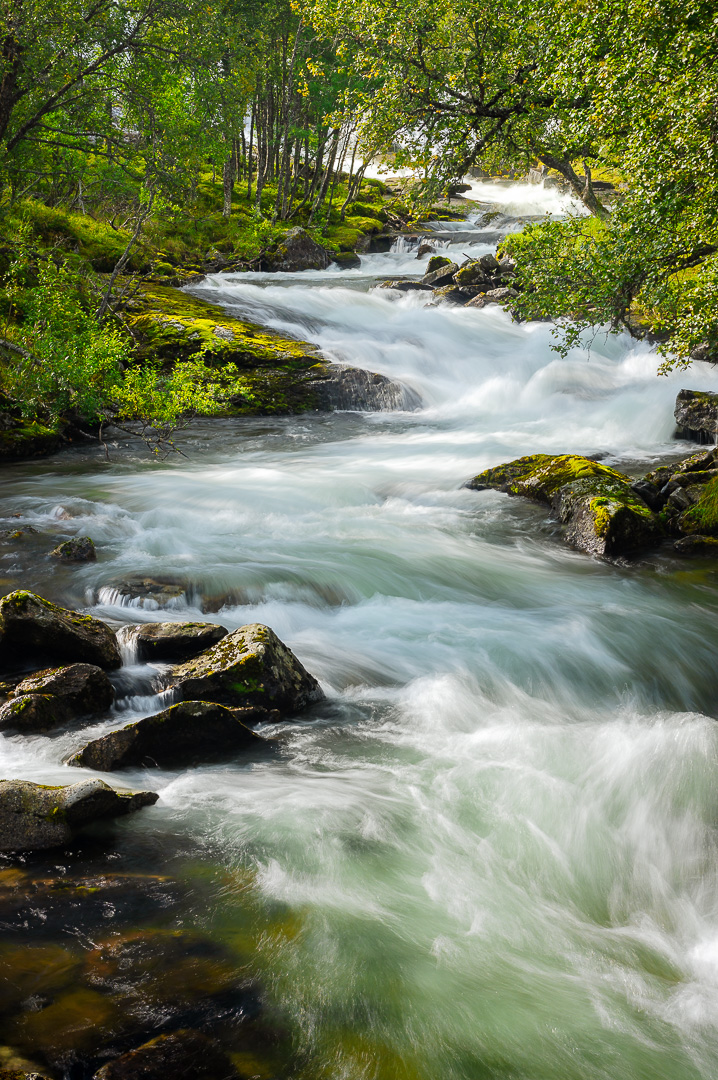 Rushing River by Adam Lack