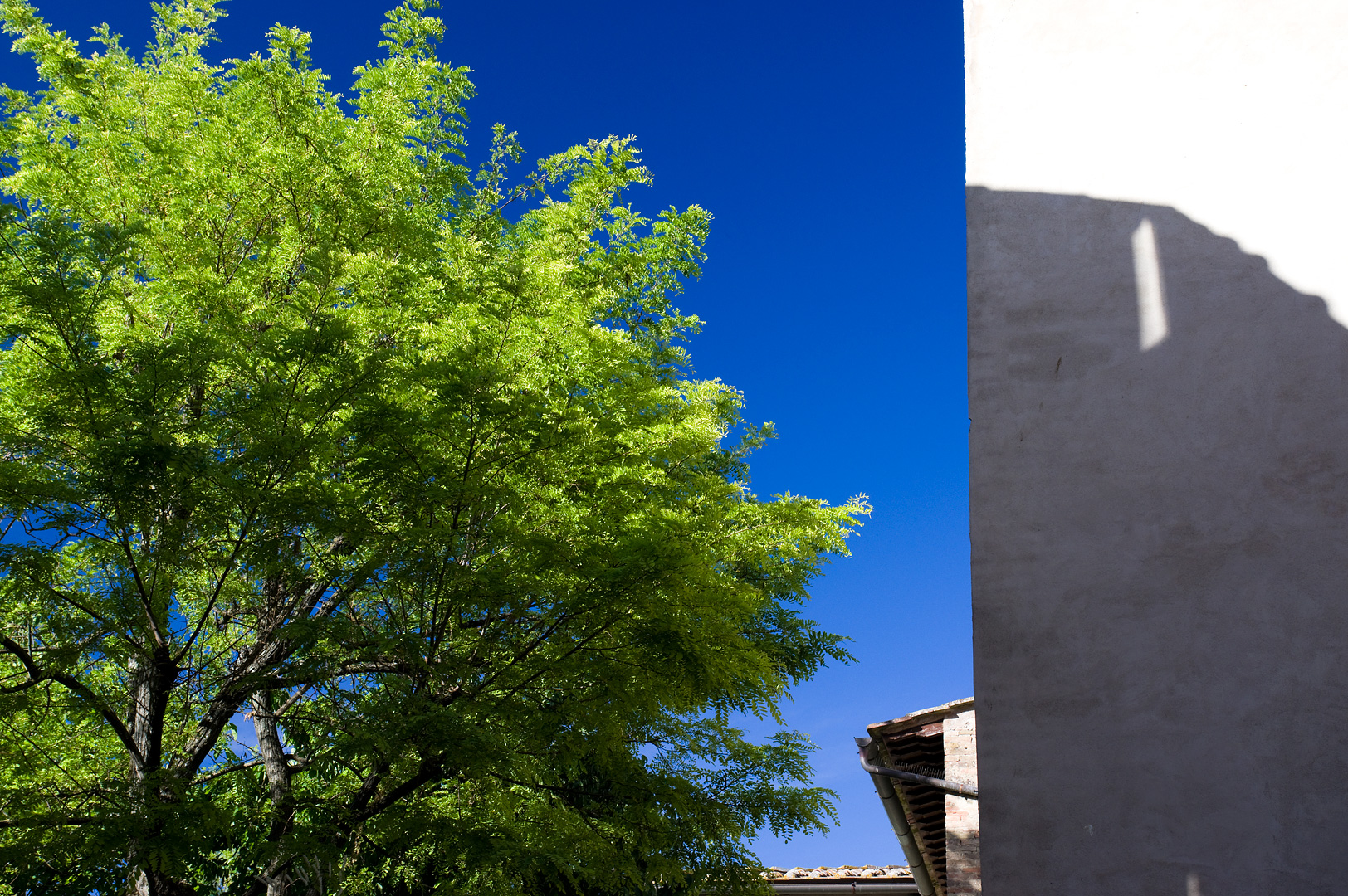 San Gimignano Sun by Adam Lack