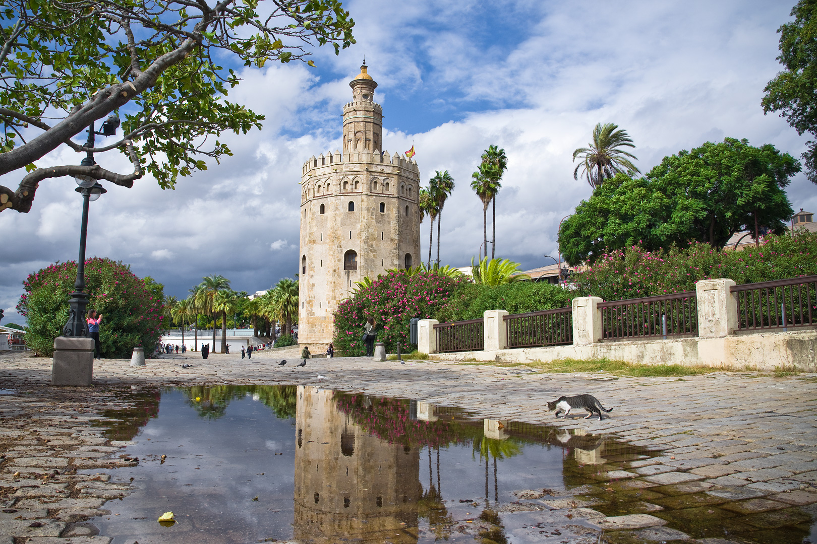 Seville Reflection by Adam Lack