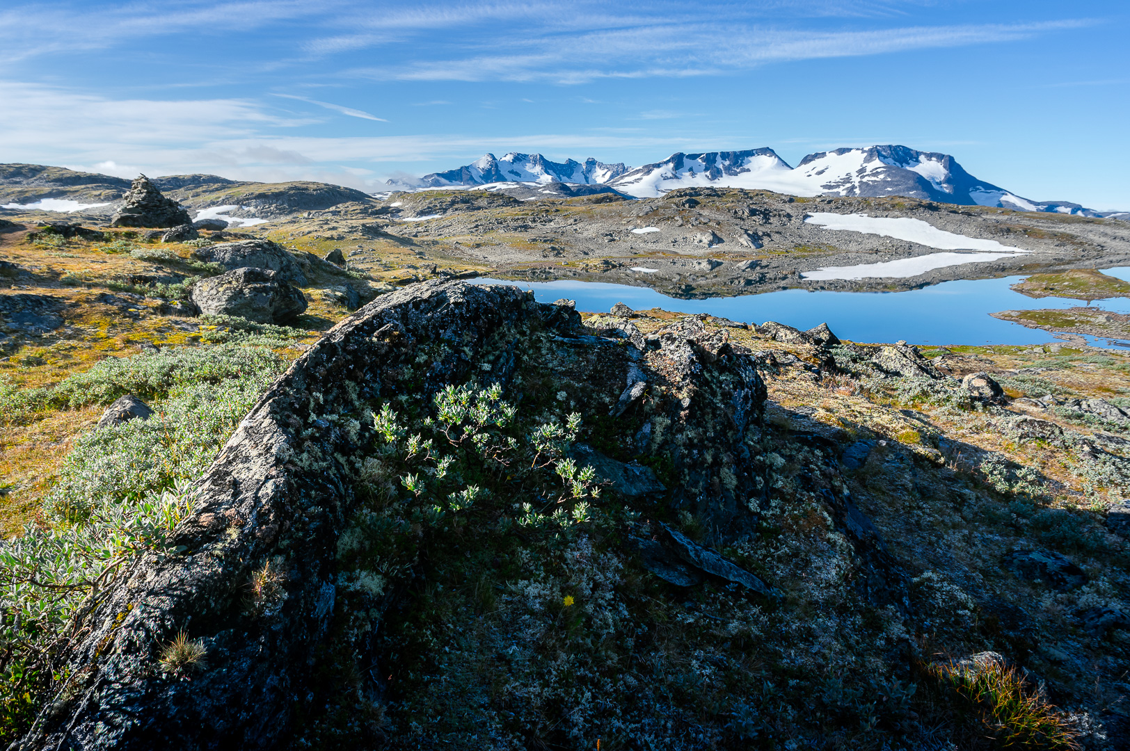 Sognefjellet Morning by Adam Lack