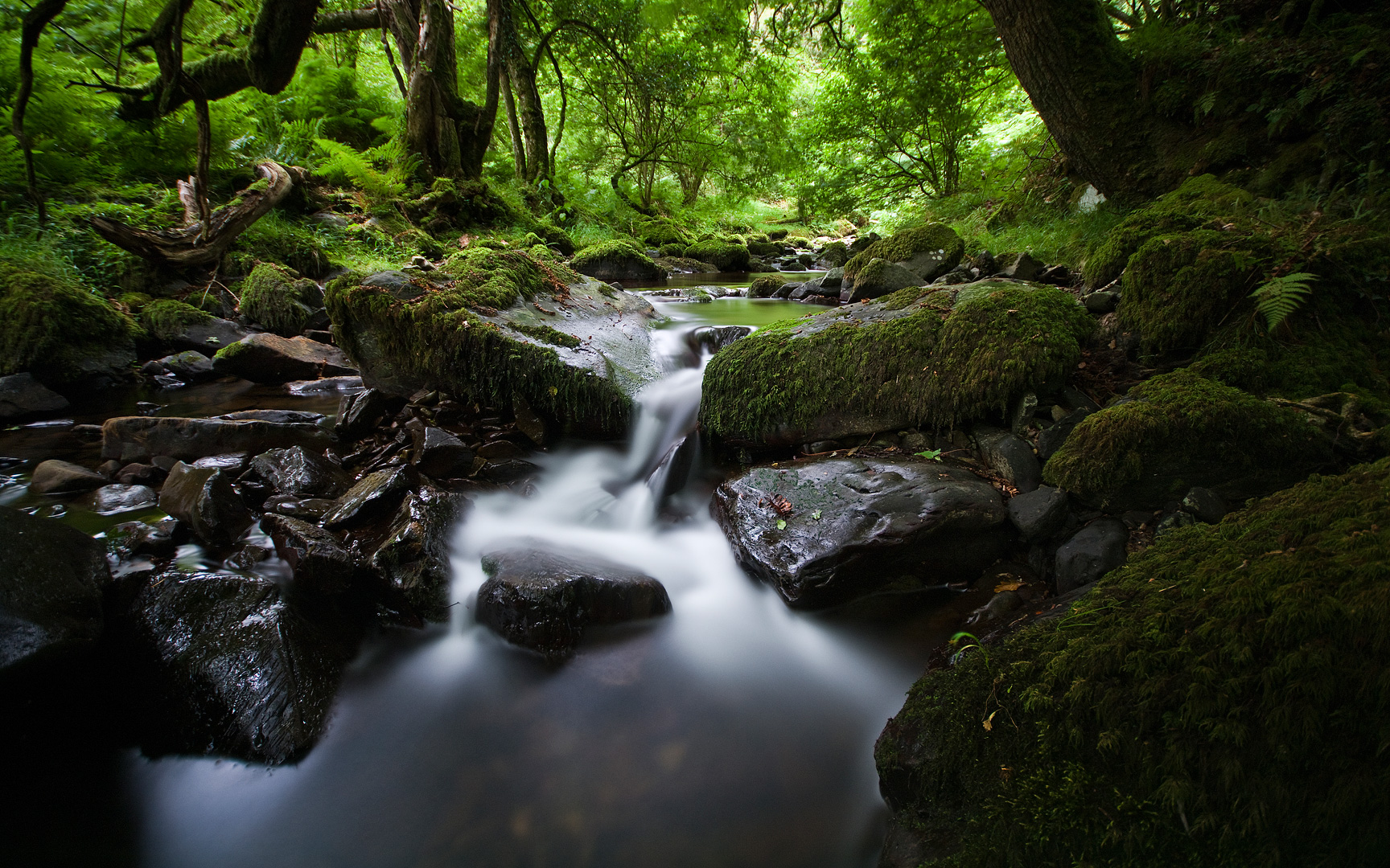 Somewhere in Exmoor by Adam Lack