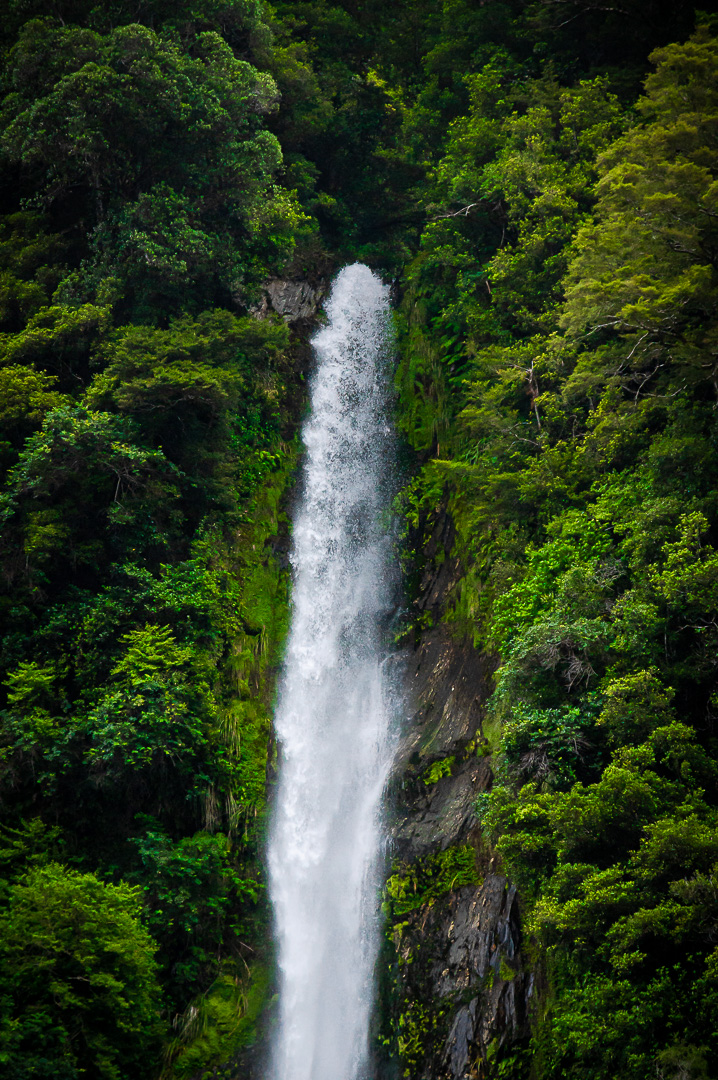 Source of Life by Adam Lack