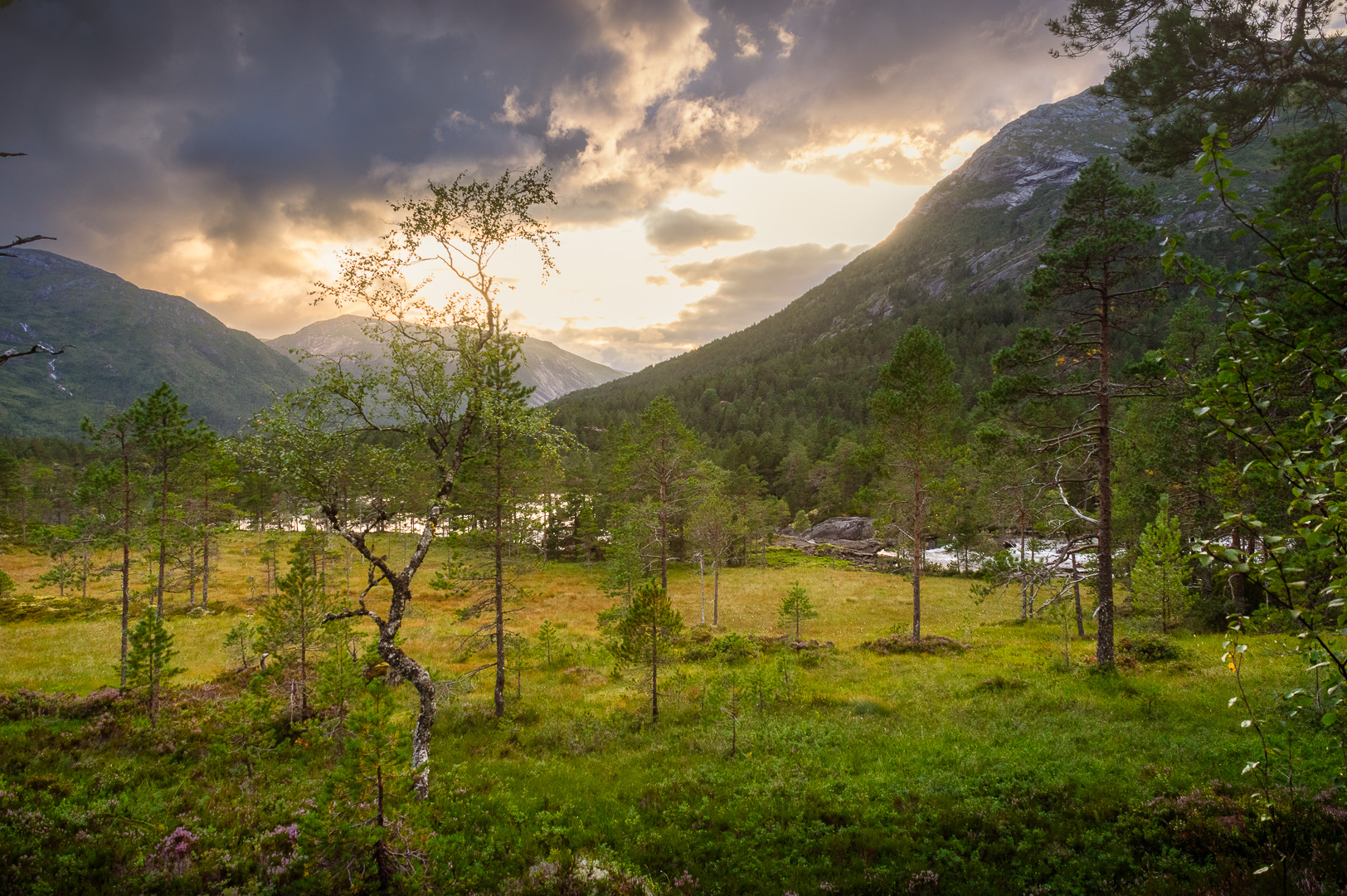 Sunset in the Wild by Adam Lack