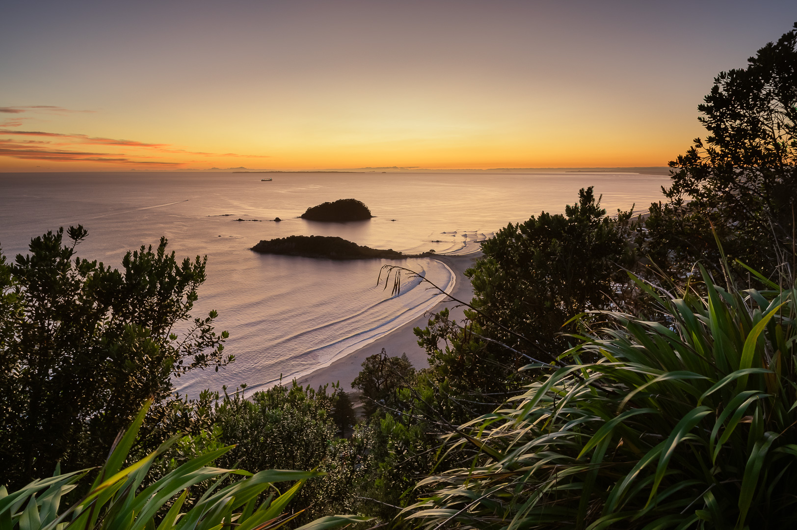Tauranga Dawn by Adam Lack