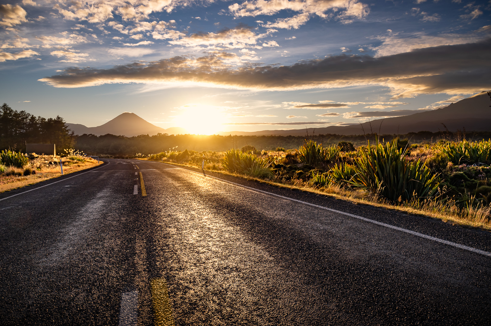 The Road to Mt Doom by Adam Lack