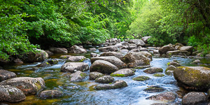 Dartmeet