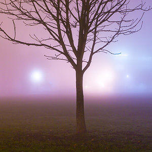 Fogshapes II