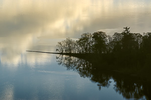 Needle in a lake