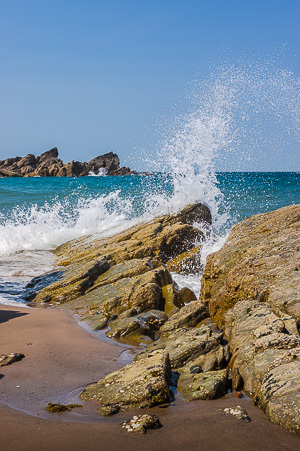 Splash