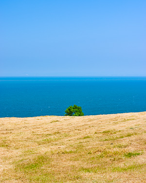 Summer Palette