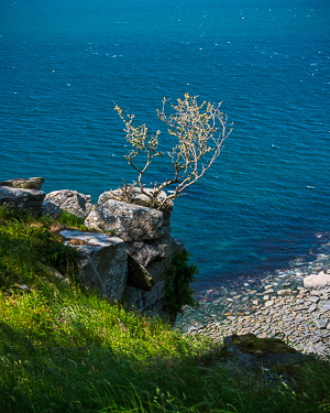 Summer Sea View