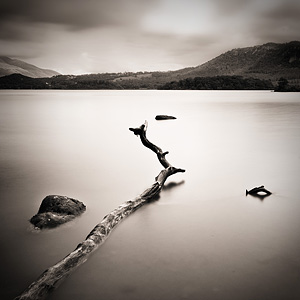 The Lake III