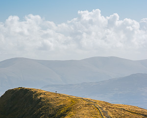 Two in the view by Adam Lack