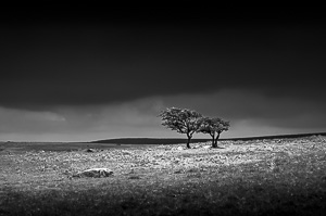 Weathering the Storm by Adam Lack