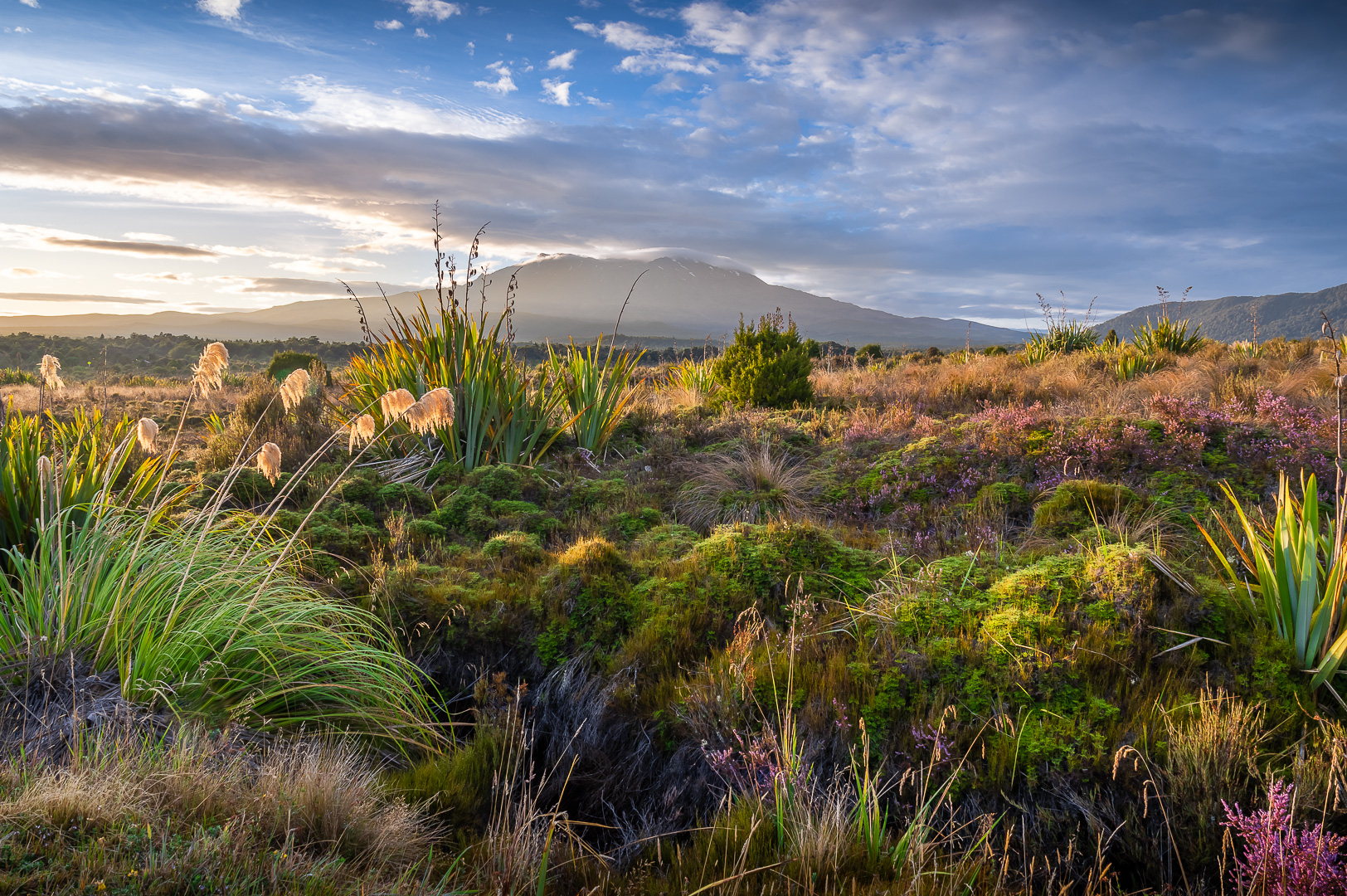 Tongariro Morning by Adam Lack