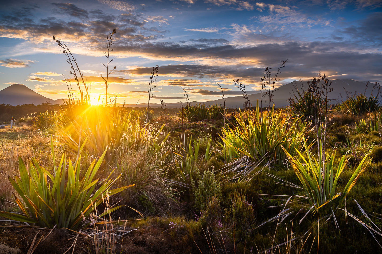 Tongariro Sunrise by Adam Lack