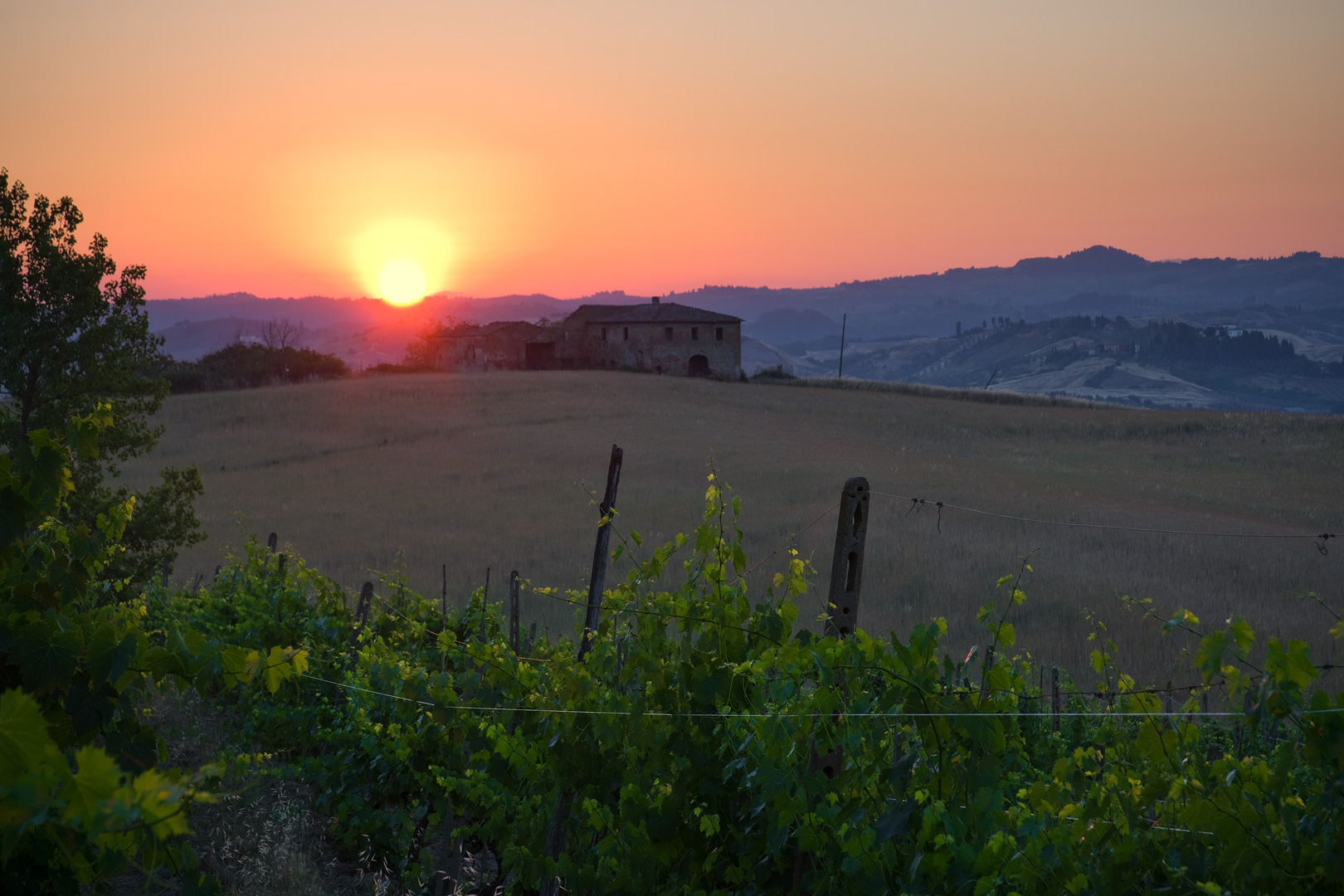 Tuscan Sunrise by Adam Lack