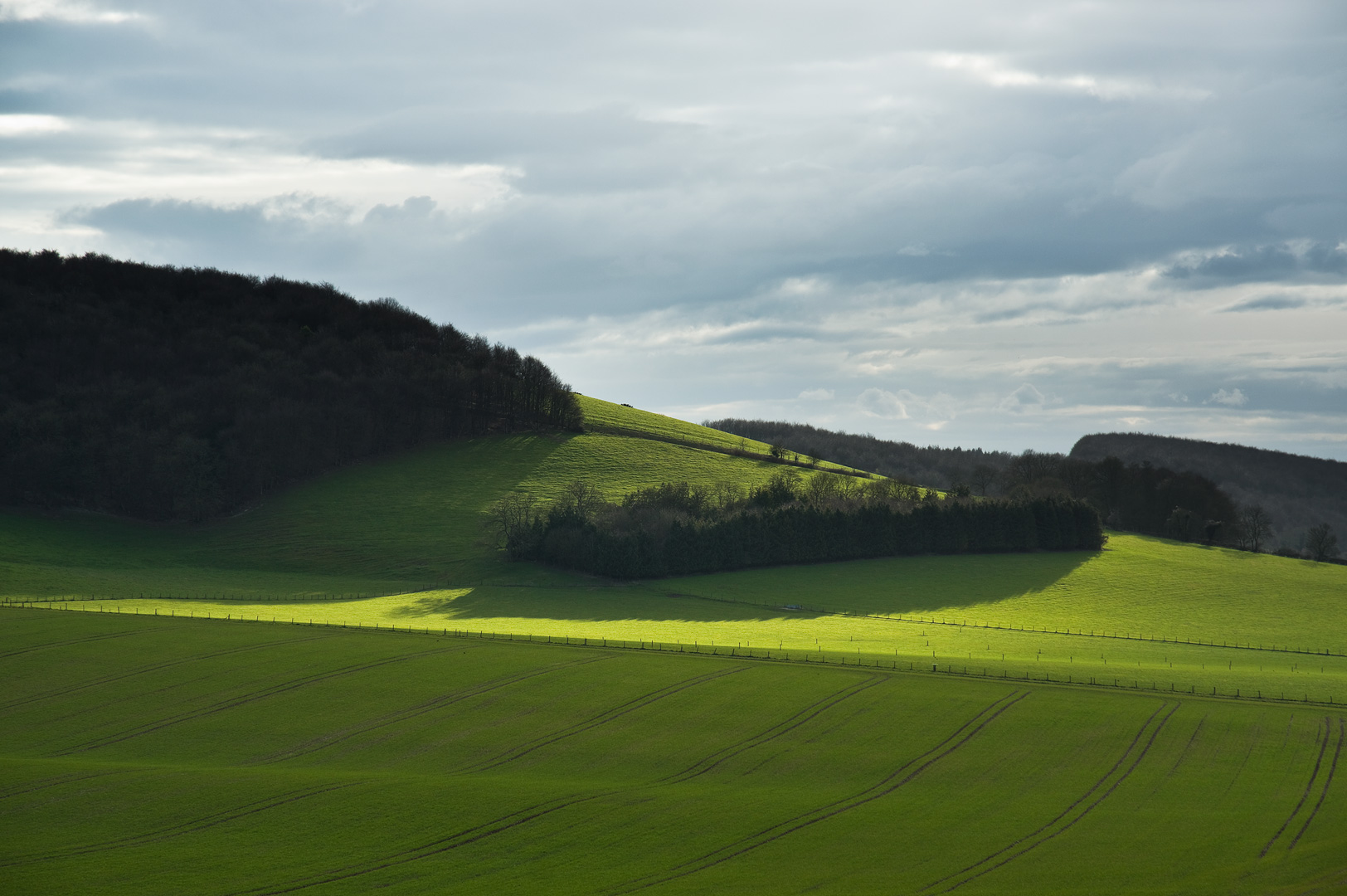 Undulate II by Adam Lack