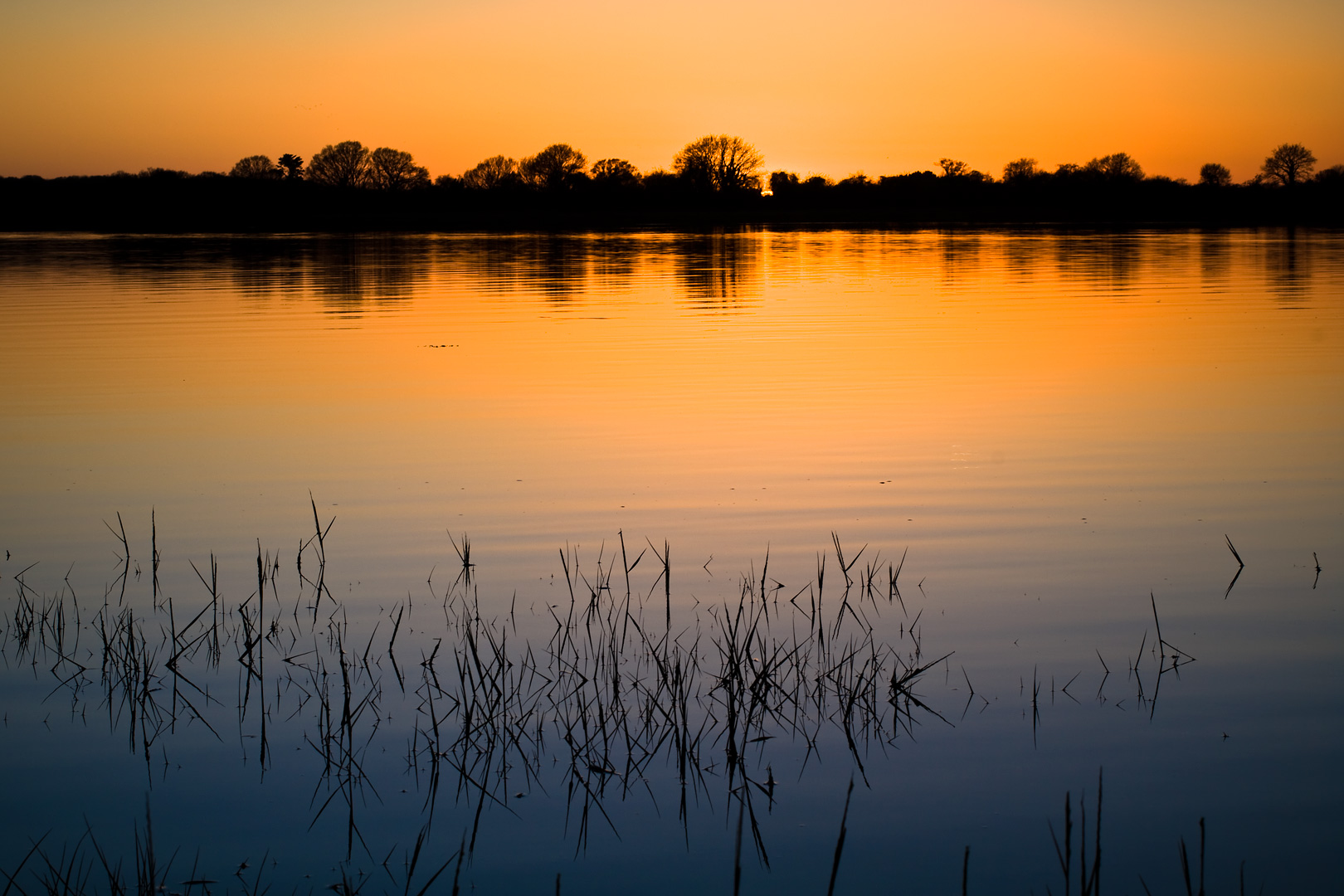 Sunset by Adam Lack